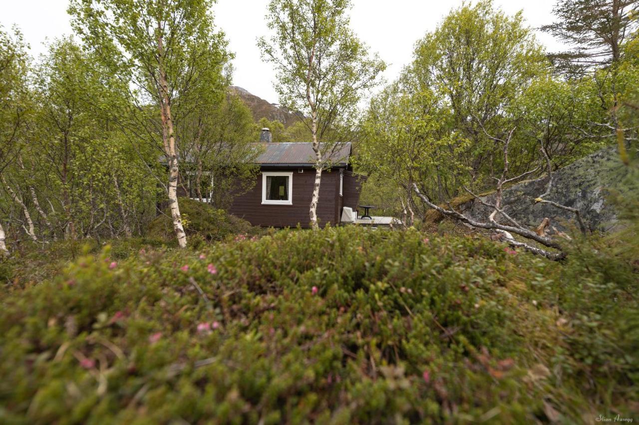 Haugteig Villa Lyngvaeret Exterior photo
