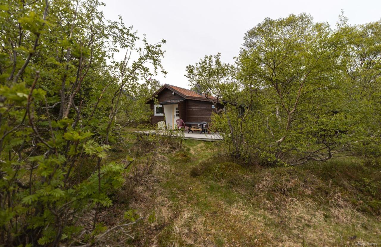 Haugteig Villa Lyngvaeret Exterior photo